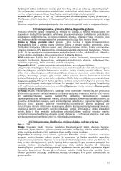 Urologijos teorija 13 puslapis