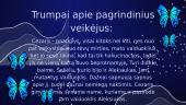 Knygos pristatymas. „Drugeliai virš bedugnės“ 4 puslapis