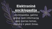 Elektroninės paslaugos: paskirtis, nauda ir praktinis naudojimas 5 puslapis