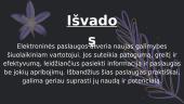 Elektroninės paslaugos: paskirtis, nauda ir praktinis naudojimas 9 puslapis