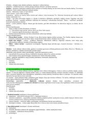 Valstybės ir teisės teorija - išsamus pasiruošimas egzaminui 2 puslapis