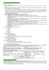 Valstybės ir teisės teorija - išsamus pasiruošimas egzaminui 9 puslapis