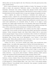 Valstybės sienų apsaugos raida 12 puslapis