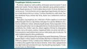 Žalgirio mūšis - skaidrės 7 puslapis
