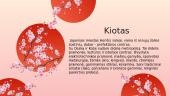 Japonijos miestai ir kelionių tikslai 5 puslapis