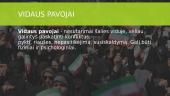 Demokratinei valstybei kylantys vidaus ir išorės pavojai 2 puslapis