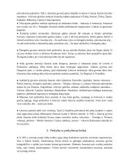 Vėlyvasis geležies amžius 2 puslapis