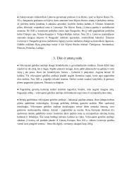 Vėlyvasis geležies amžius 3 puslapis