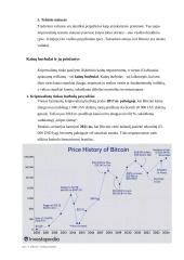 Kriptovaliutos. Kriptovaliutų rinkos tendencijos ir pokyčiai 13 puslapis