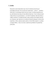 Kriptovaliutos. Kriptovaliutų rinkos tendencijos ir pokyčiai 2 puslapis