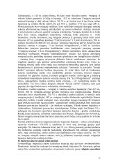 Viduramžiai. Renesansas 13 puslapis