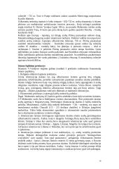 Viduramžiai. Renesansas 16 puslapis