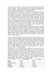 Viduramžiai. Renesansas 7 puslapis