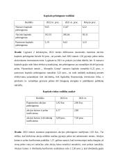 Įmonės UAB „Akropolis Group“ analizė 3 puslapis