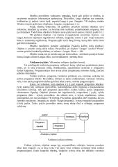 Visual Basic 2 puslapis