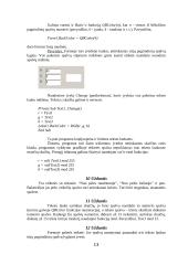 Visual Basic 13 puslapis