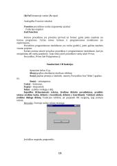 Visual Basic 19 puslapis