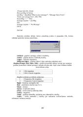 Visual Basic 20 puslapis