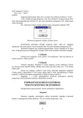 Visual Basic 7 puslapis