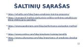 Žmogiškųjų ištekių vertinimas, mokymas ir tobulinimas 13 puslapis
