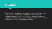 SVS Sistema 9 puslapis