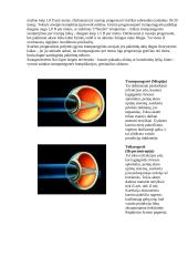 Kodėl sutrinka regėjimas 4 puslapis