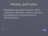 Verslo organizavimo formos (pristatymas) 12 puslapis