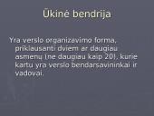 Verslo organizavimo formos (pristatymas) 13 puslapis