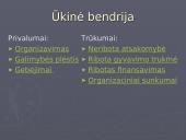 Verslo organizavimo formos (pristatymas) 14 puslapis