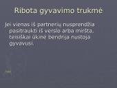 Verslo organizavimo formos (pristatymas) 19 puslapis