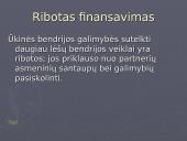 Verslo organizavimo formos (pristatymas) 20 puslapis