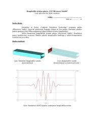 Elektromagnetinių bangų sklidimo režimai bangolaidyje 1 puslapis