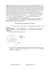Dujinio fotoelemento tyrimas 2 puslapis
