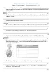 Biologija 9 kl. 1 kontrolinis darbas. ,,Kvėpavimas 1 dalis”