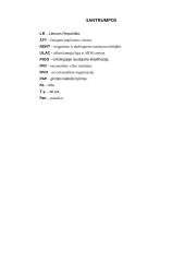 Socialinių paslaugų poreikis moterims sergančioms onkologine liga 4 puslapis