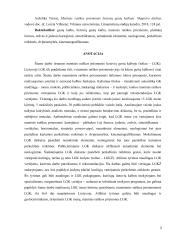 Meninės raiškos priemonės lietuvių gestų kalboje