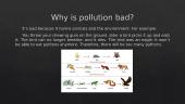 Skaidrės anglų k.: Pollution 6 puslapis