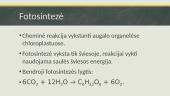 Chemijos 5 ir 6 klasės kartojimo skaidrės 19 puslapis