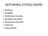 Bestuburiai gyvūnai. Pristatymas 2 puslapis