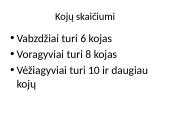 Bestuburiai gyvūnai. Pristatymas 11 puslapis