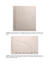 Kietųjų kūnų trinties tyrimas. Laboratorinis darbas 5 puslapis