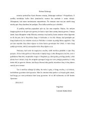 Kazio Borutos romano „Baltaragio malūnas" literatūrinis laiškas 2 puslapis