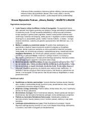 Vincas Mykolaitis Putinas „Altorių Šešėly“: siužetas, veikėjai 11 puslapis