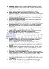 Vincas Mykolaitis Putinas „Altorių Šešėly“: siužetas, veikėjai 12 puslapis