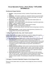 Vincas Mykolaitis Putinas „Altorių Šešėly“: siužetas, veikėjai 13 puslapis