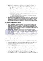 Vincas Mykolaitis Putinas „Altorių Šešėly“: siužetas, veikėjai 14 puslapis