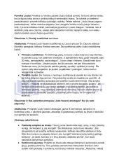 Vincas Mykolaitis Putinas „Altorių Šešėly“: siužetas, veikėjai 16 puslapis