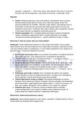 Vincas Mykolaitis Putinas „Altorių Šešėly“: siužetas, veikėjai 17 puslapis