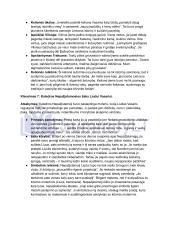 Vincas Mykolaitis Putinas „Altorių Šešėly“: siužetas, veikėjai 18 puslapis