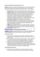 Vincas Mykolaitis Putinas „Altorių Šešėly“: siužetas, veikėjai 19 puslapis